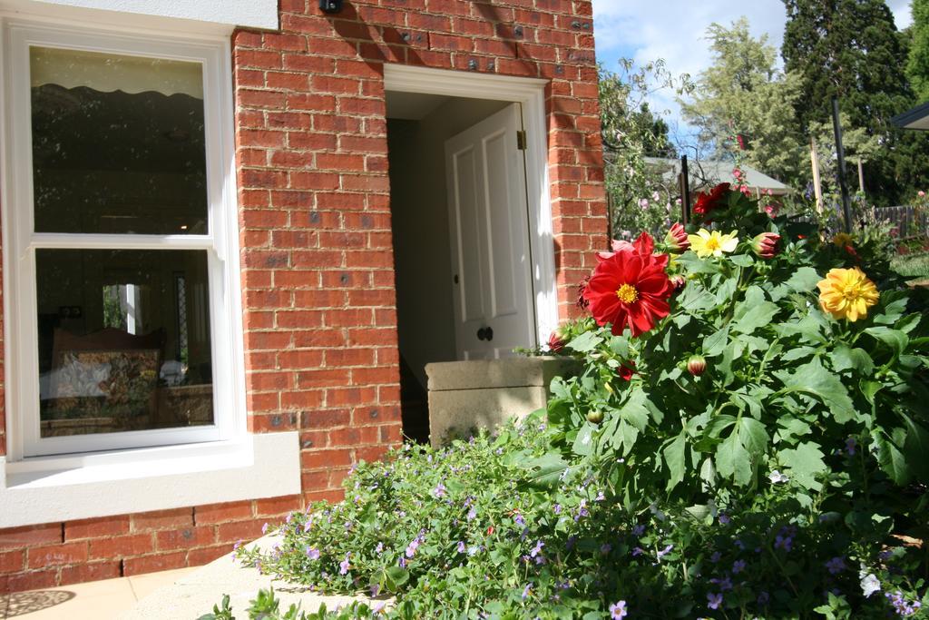 Annies Garden Cottage Hobart Exteriér fotografie